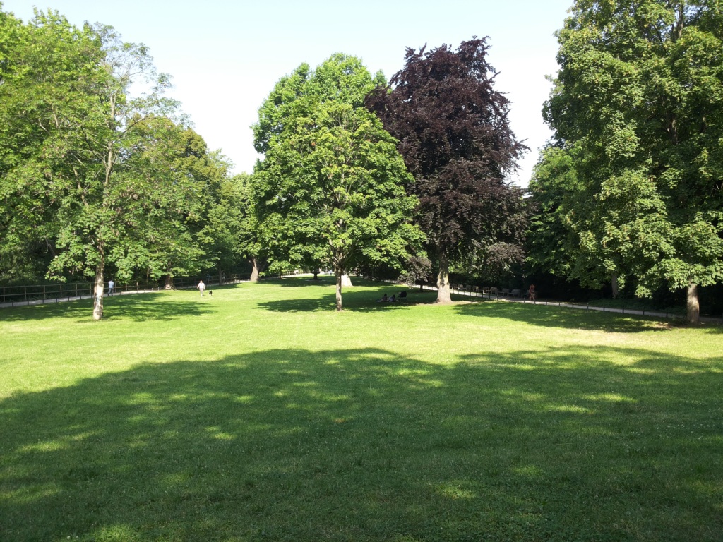 Hallerwiese